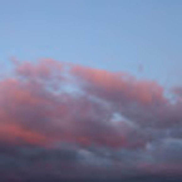 Meet your Posher, Cassi - Picture 1 of 1